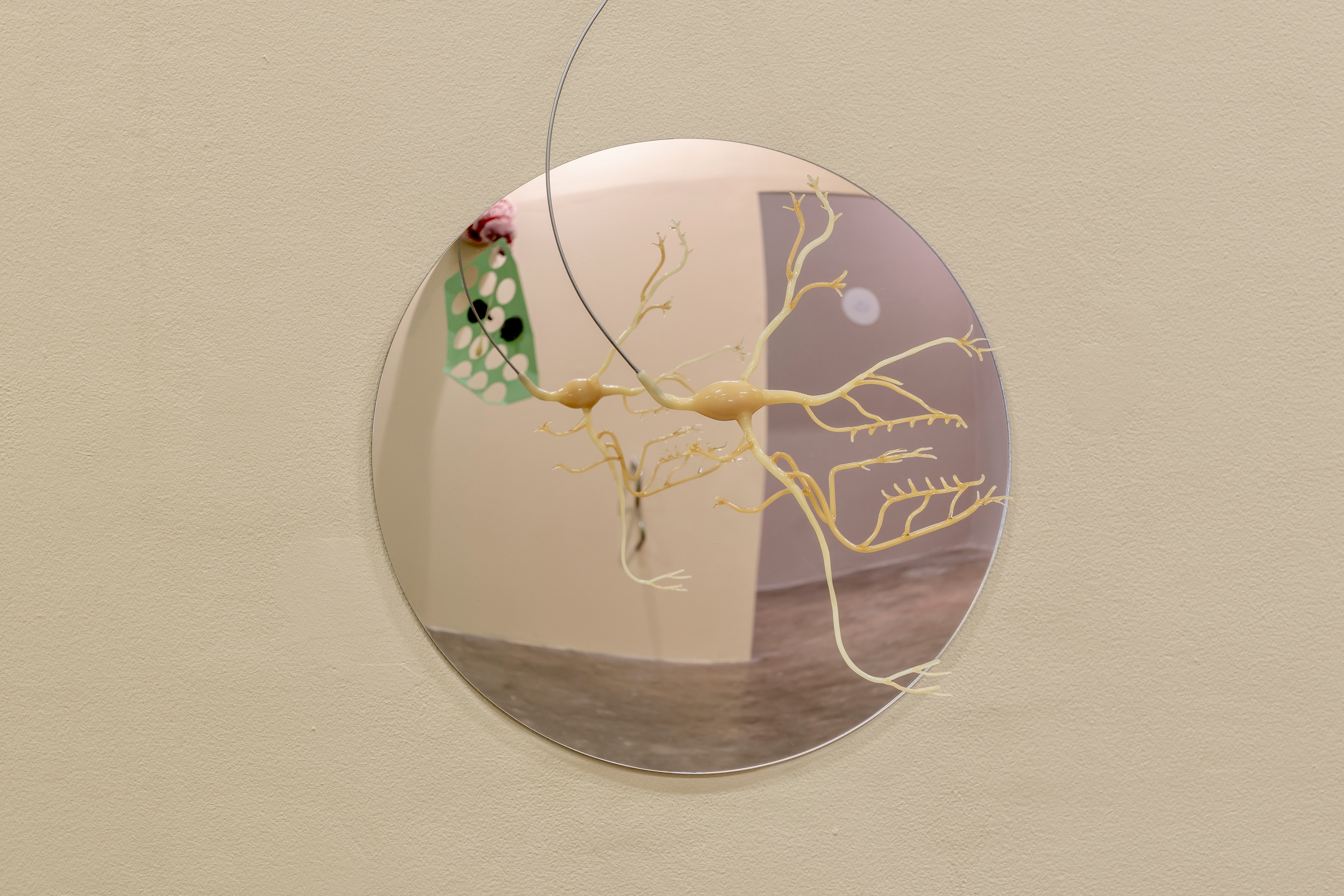 Description of image 29